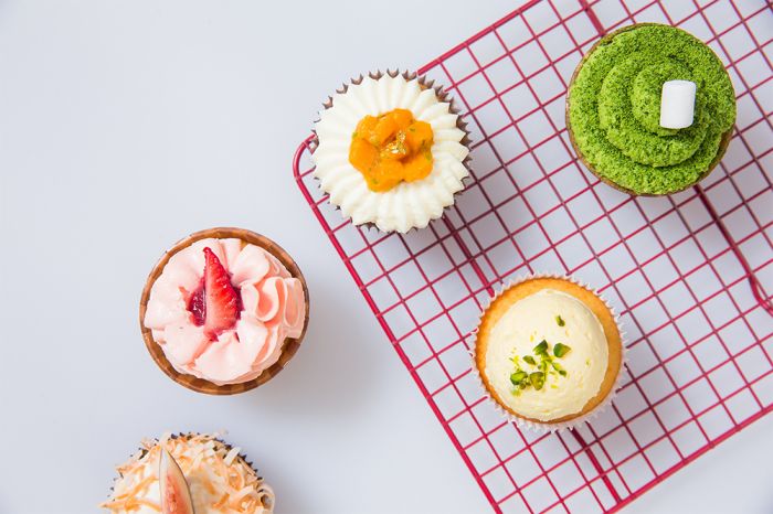 西點全科精英班